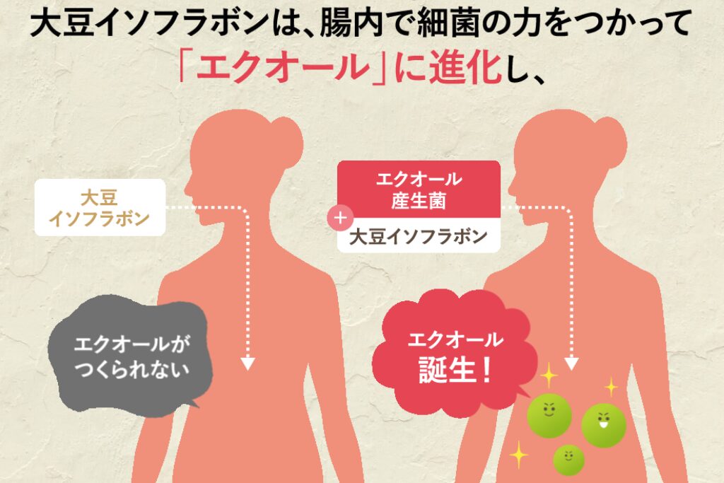 ここほまれ 画像2