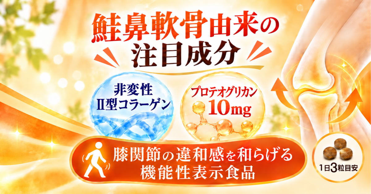 北の国4
